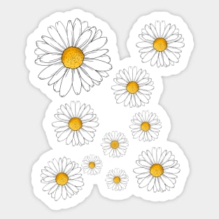 Daisies Sticker